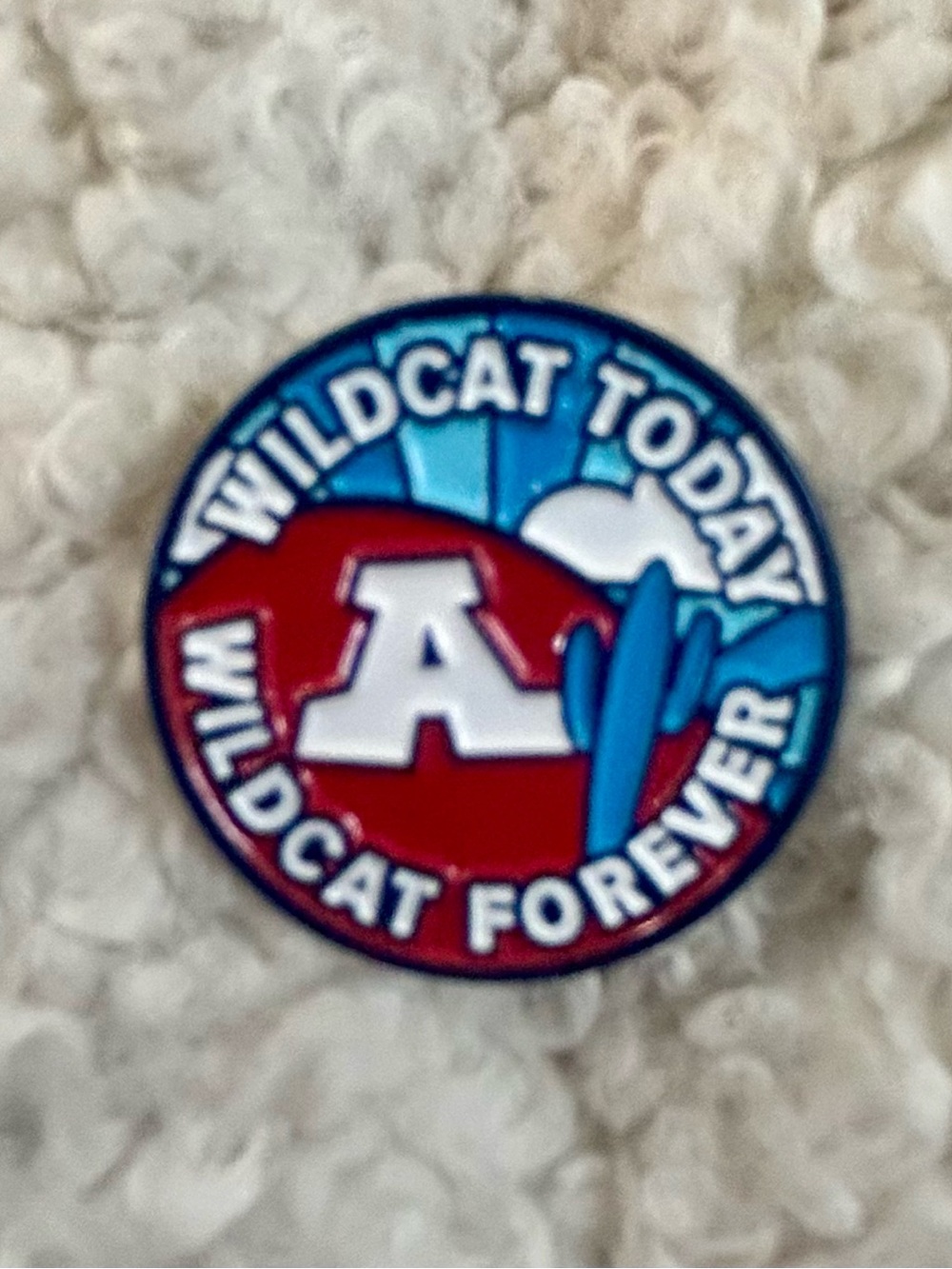 University of Arizona Wildcats Enamel Pin Wildcat Today Forever Cactus .75"